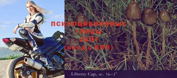 PSILOCYBIN Медногорск