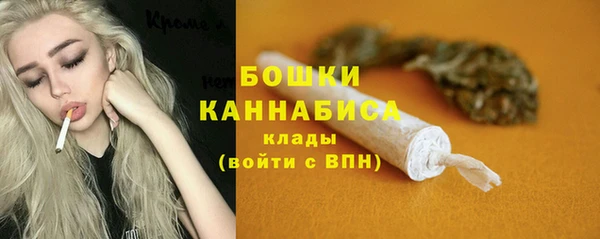 PSILOCYBIN Медногорск