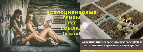 а пвп мука Алагир