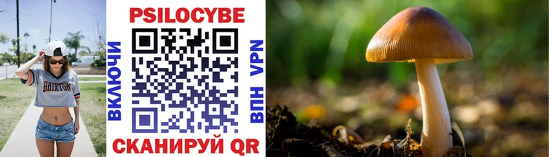 Галлюциногенные грибы Psilocybe  Дмитровск 